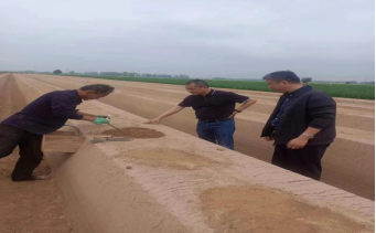 4月15日，公司李總、原料王愛兵、品管王文文奔赴菏澤深入田間地頭考察原料種植采收情況