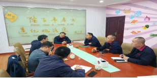 貿(mào)易伙伴就埃及出差考察的討論與總結分析